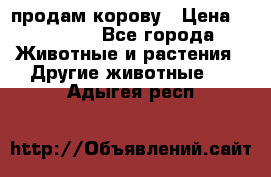 продам корову › Цена ­ 70 000 - Все города Животные и растения » Другие животные   . Адыгея респ.